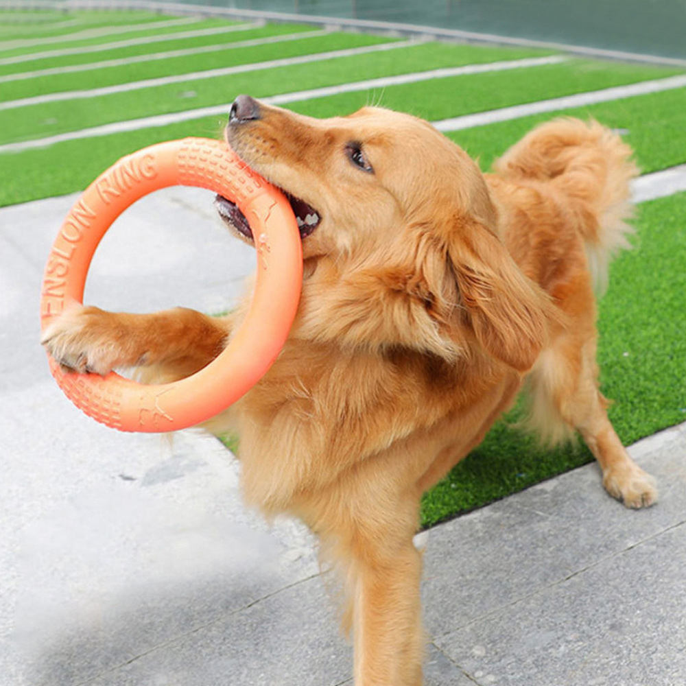 Interactive Squeaky Plush Dog Toy - Tirador de anillo de entrenamiento interactivo