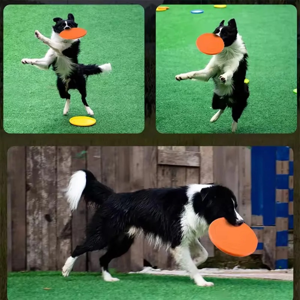Flying Disc Dog Training Toy - Disco Volador para Perros, Juguete Interactivo