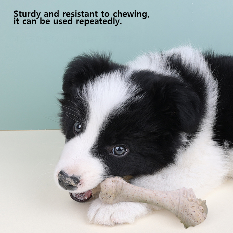 Teeth Cleaning Dog Chew Bone - Juguetes para mascotas de 12 cm,