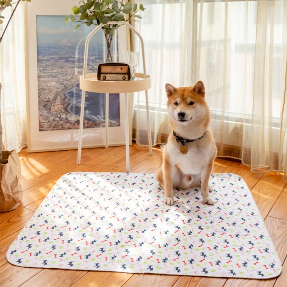 Pet Beds - Alfombra Superabsorbente y Duradera para Mascotas,