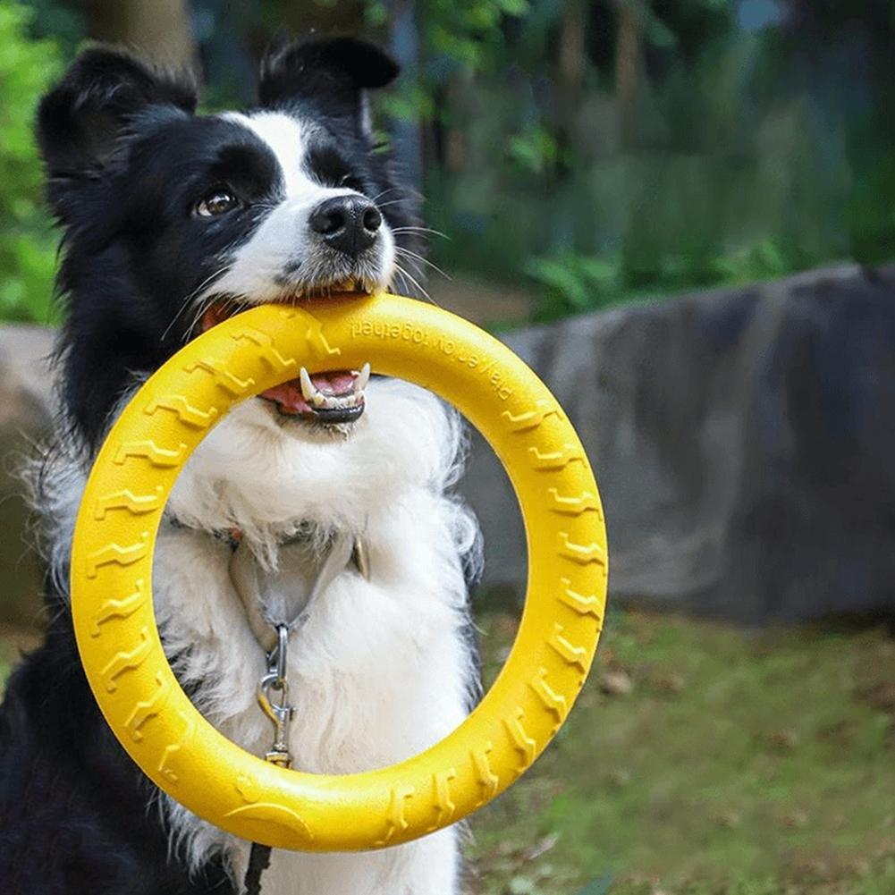 Indestructible Dog Chew Toy - Juguetes de anillo para perros, indestructibles,