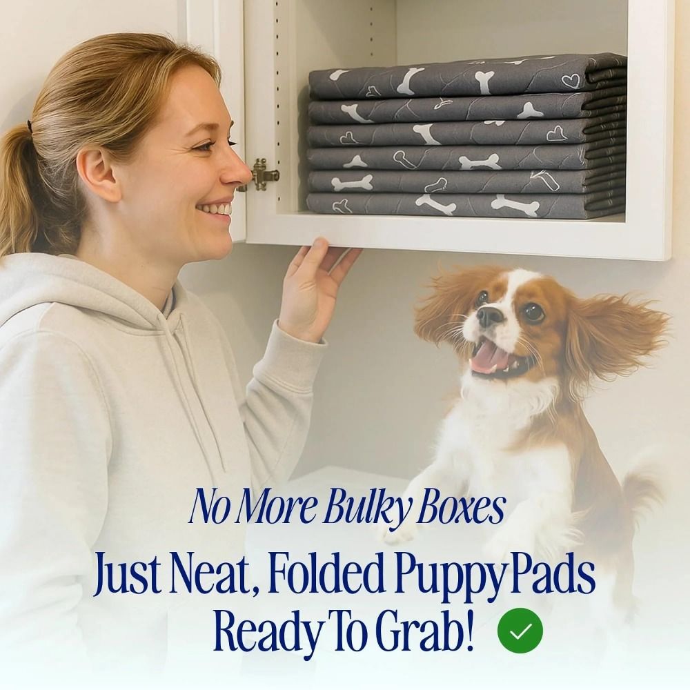 Pet Beds - Tapete Superabsorbente para Mascotas, Reutilizable, Antideslizante,
