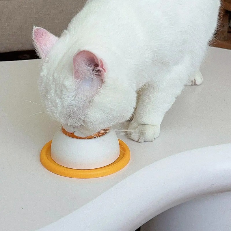 Cuenco de Alimentación Lenta p - Dog Puzzle Feeder Toy reseña y precio