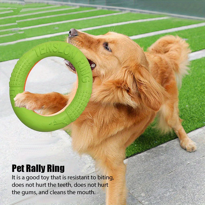 Juguetes de entrenamiento para - Flying Disc Dog Training Toy reseña y precio