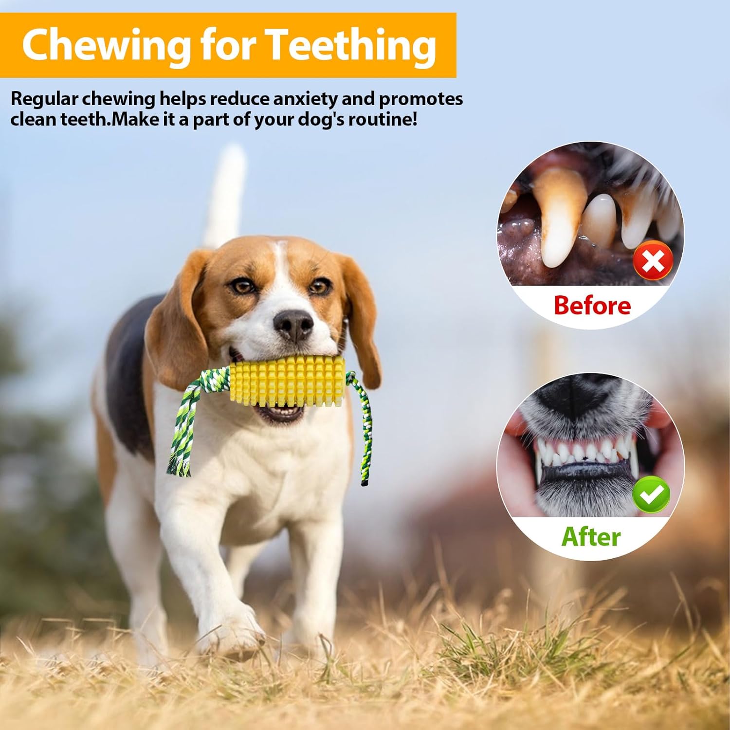 Juguete para masticar para per - Dog Rope Toy Aggressive Chewers reseña y precio