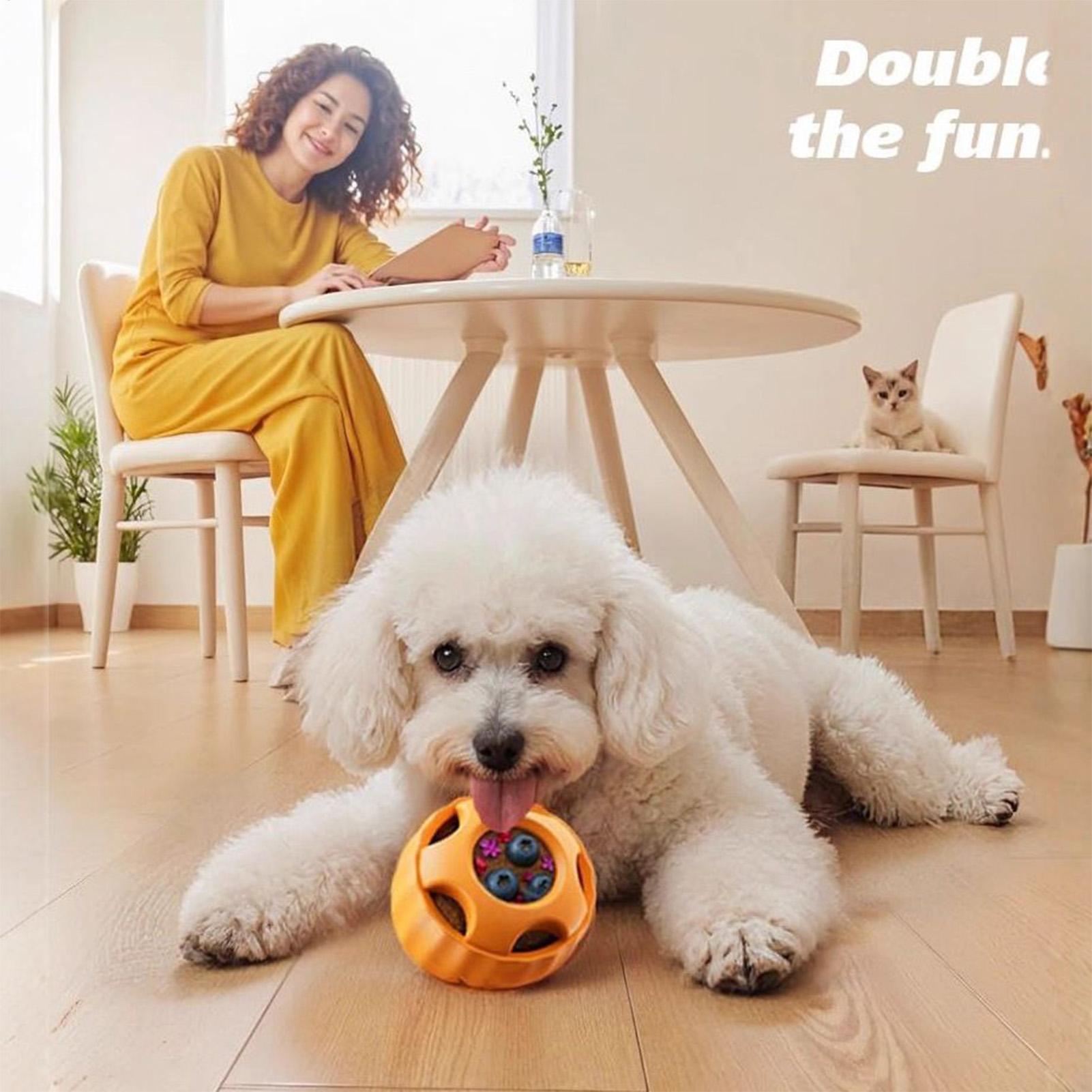 Juguetes dispensadores de golo - Dog Puzzle Feeder Toy reseña y precio