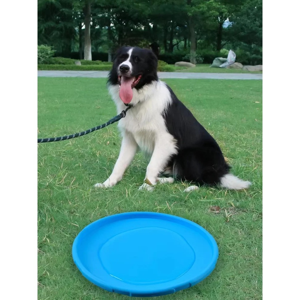Disco Volador para Perros, Jug - Flying Disc Dog Training Toy reseña y precio