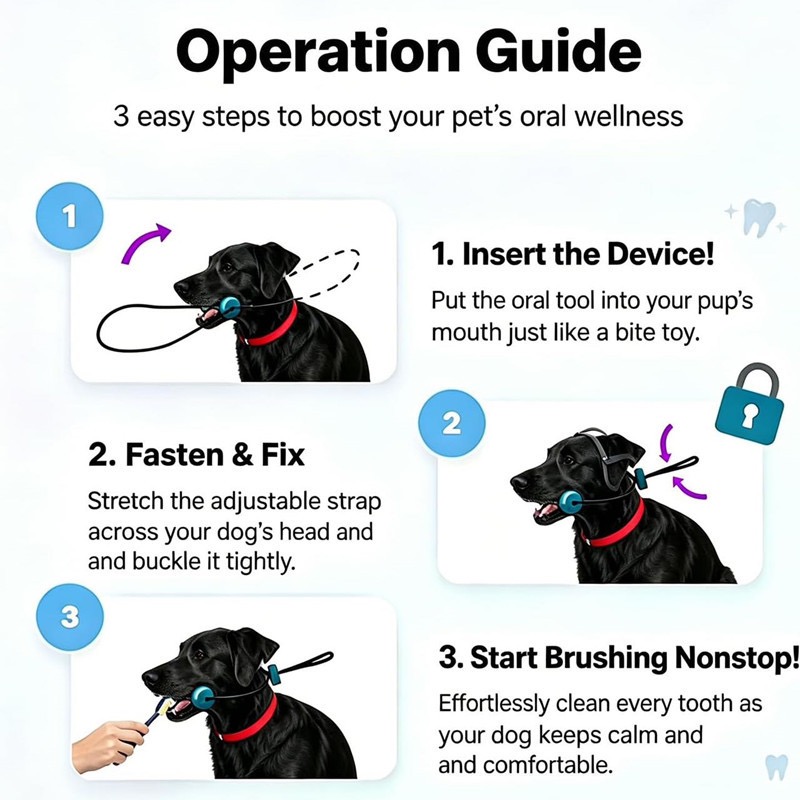 Juguete resistente para perros - Teeth Cleaning Dog Chew Bone reseña y precio