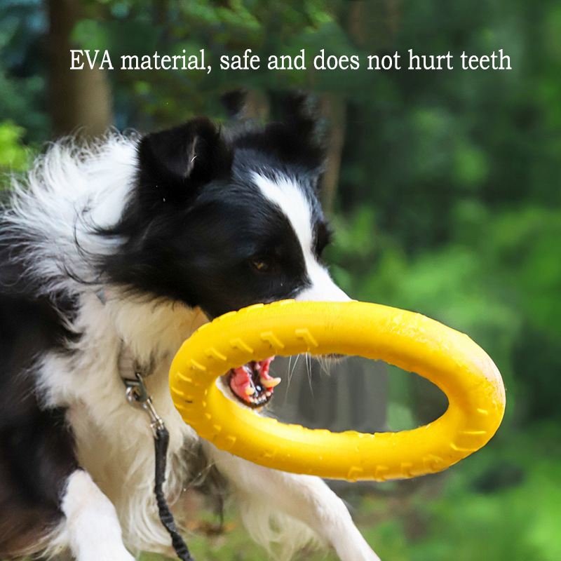 Juguetes duraderos para perros - Indestructible Dog Chew Toy reseña y precio
