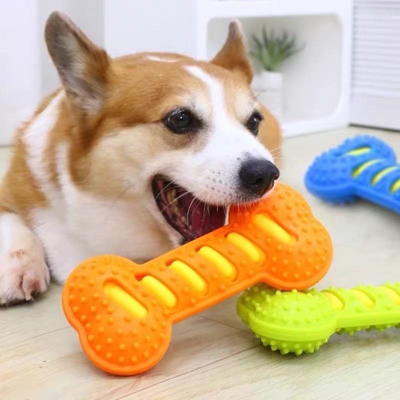 Juguete Masticable de Goma par - Teeth Cleaning Dog Chew Bone reseña y precio