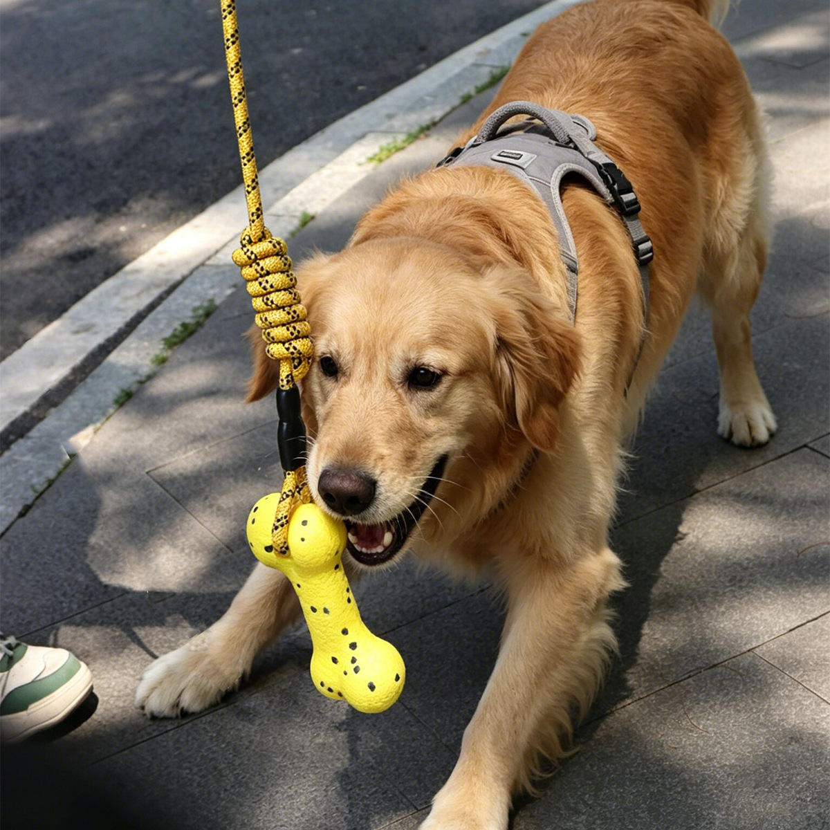 Juguete de cuerda resistente p - Dog Rope Toy Aggressive Chewers reseña y precio