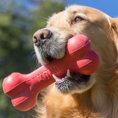 Hueso de Goma Natural Clásico  - Rubber Treat Dispensing Dog Toy reseña y precio