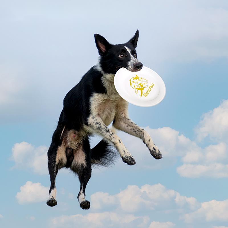 OUZEY-disco volador para entre - Flying Disc Dog Training Toy reseña y precio