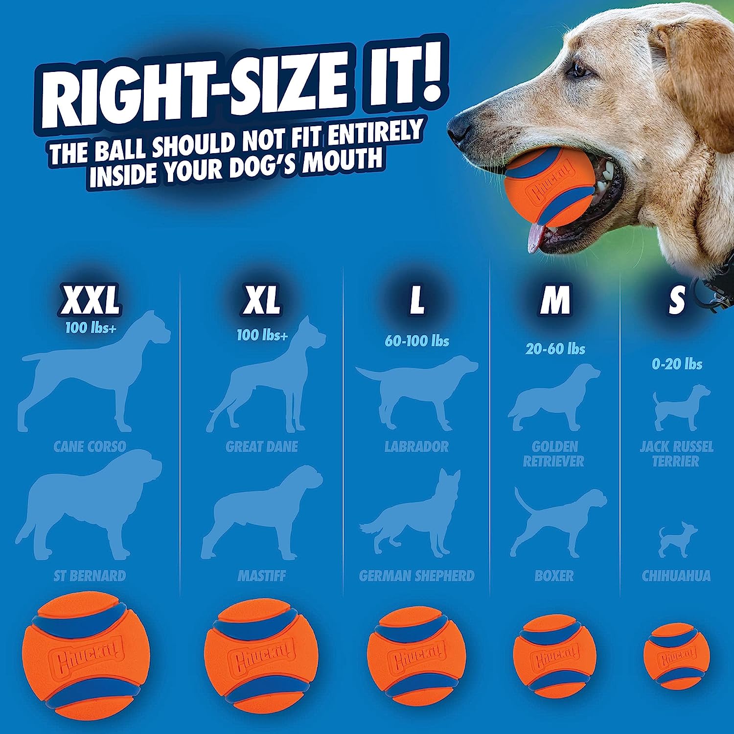 Juguete para perros Chuckit Ul - Indestructible Dog Chew Toy reseña y precio