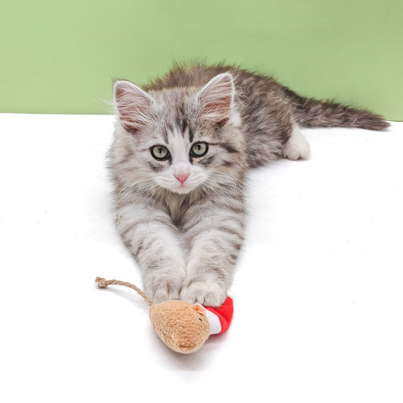 Juguete para masticar con empu - Catnip Interactive Plush Mouse reseña y precio