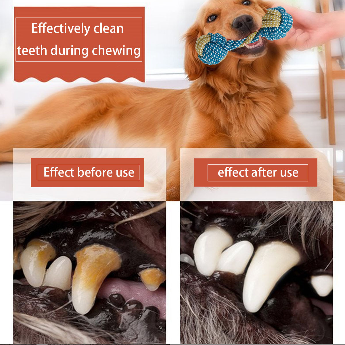 Nuevo 7 Uds perro mascota cach - Teeth Cleaning Dog Chew Bone reseña y precio