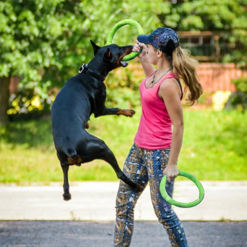 Discos voladores para perro, a - Flying Disc Dog Training Toy reseña y precio