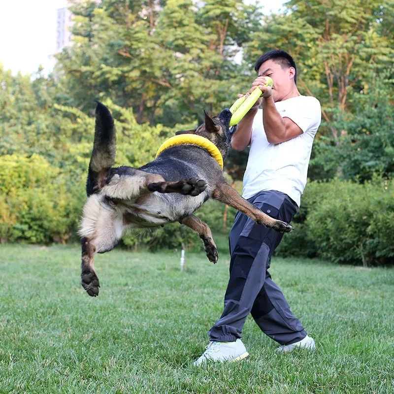 Discos voladores para perro, a - Flying Disc Dog Training Toy reseña y precio