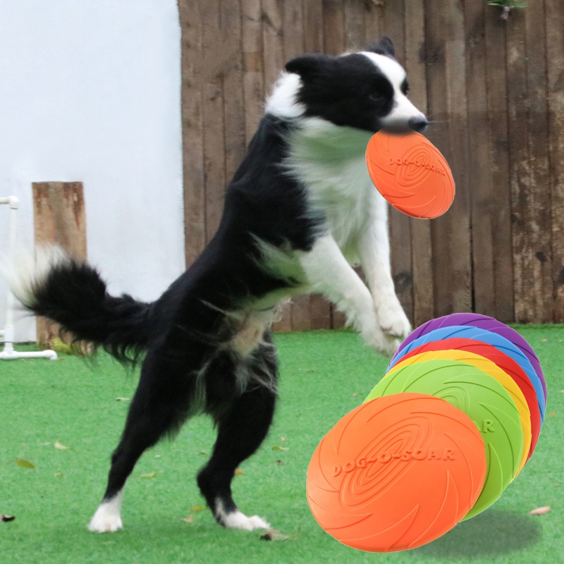 Platillo volador de silicona i - Flying Disc Dog Training Toy reseña y precio