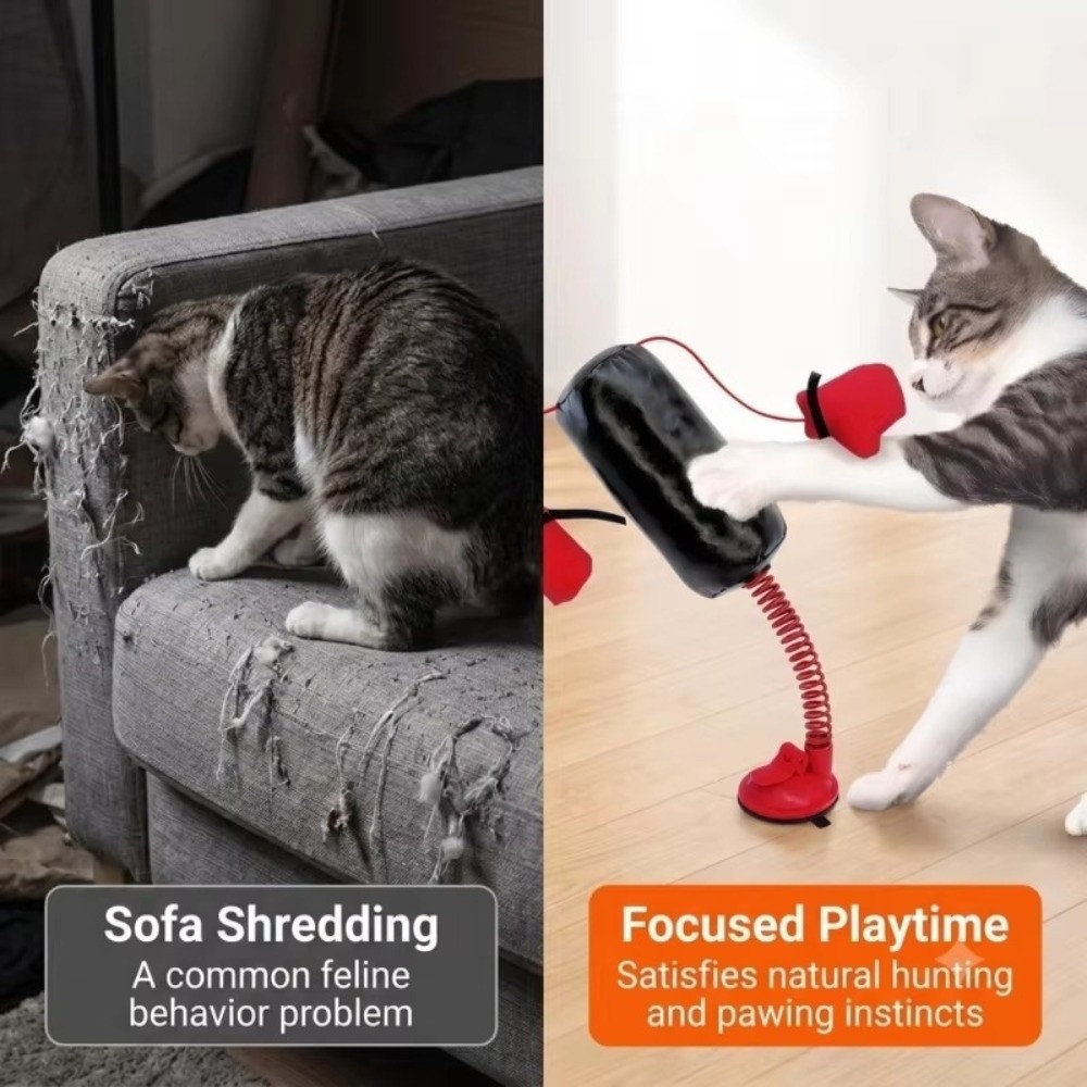 Juguete de boxeo para gatos co - Interactive Squeaky Plush Dog Toy reseña y precio