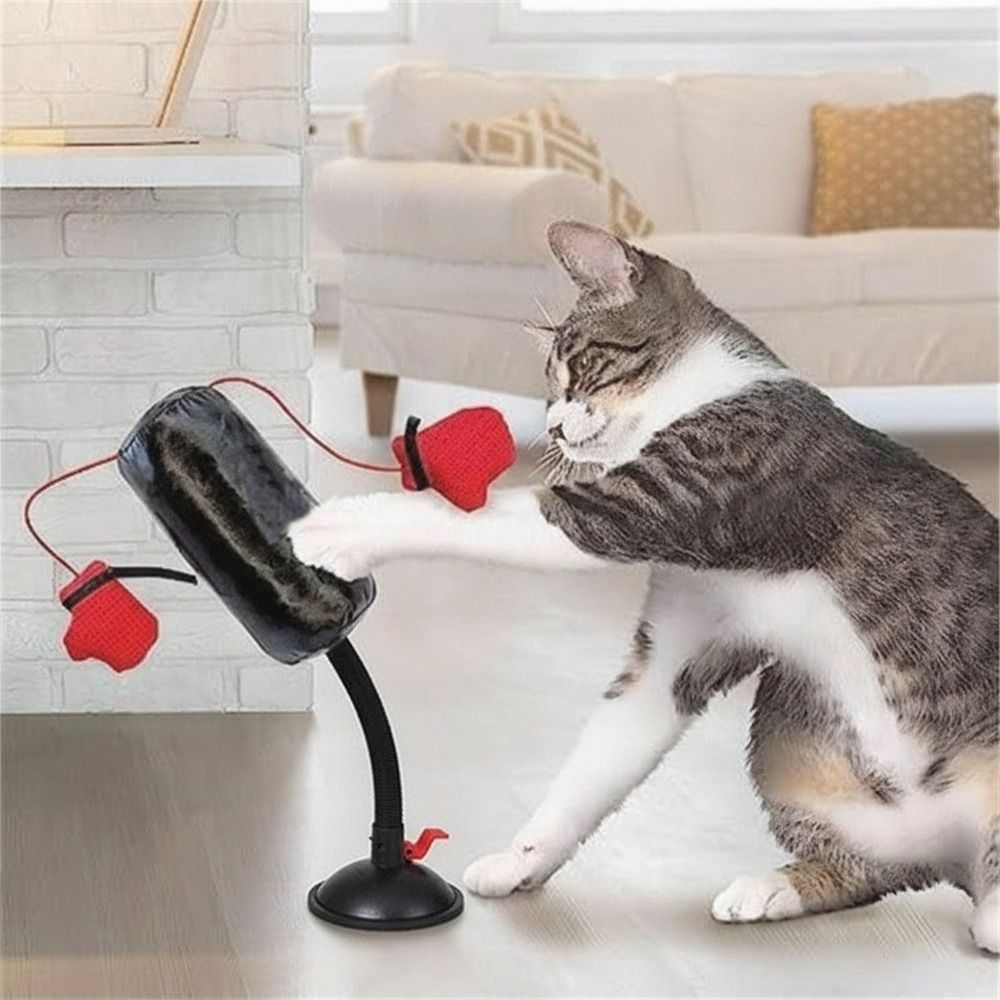 Juguete de boxeo para gatos co - Interactive Squeaky Plush Dog Toy reseña y precio