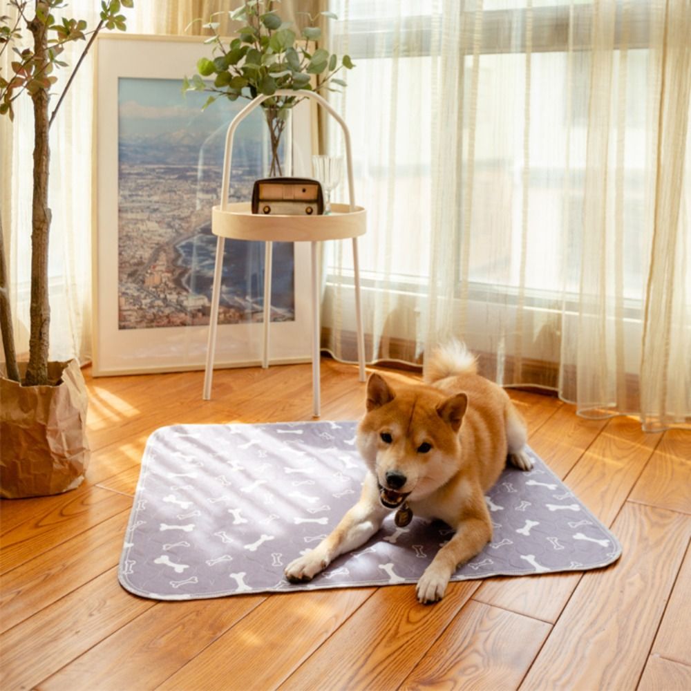 Alfombra Superabsorbente y Dur - Pet Beds reseña y precio