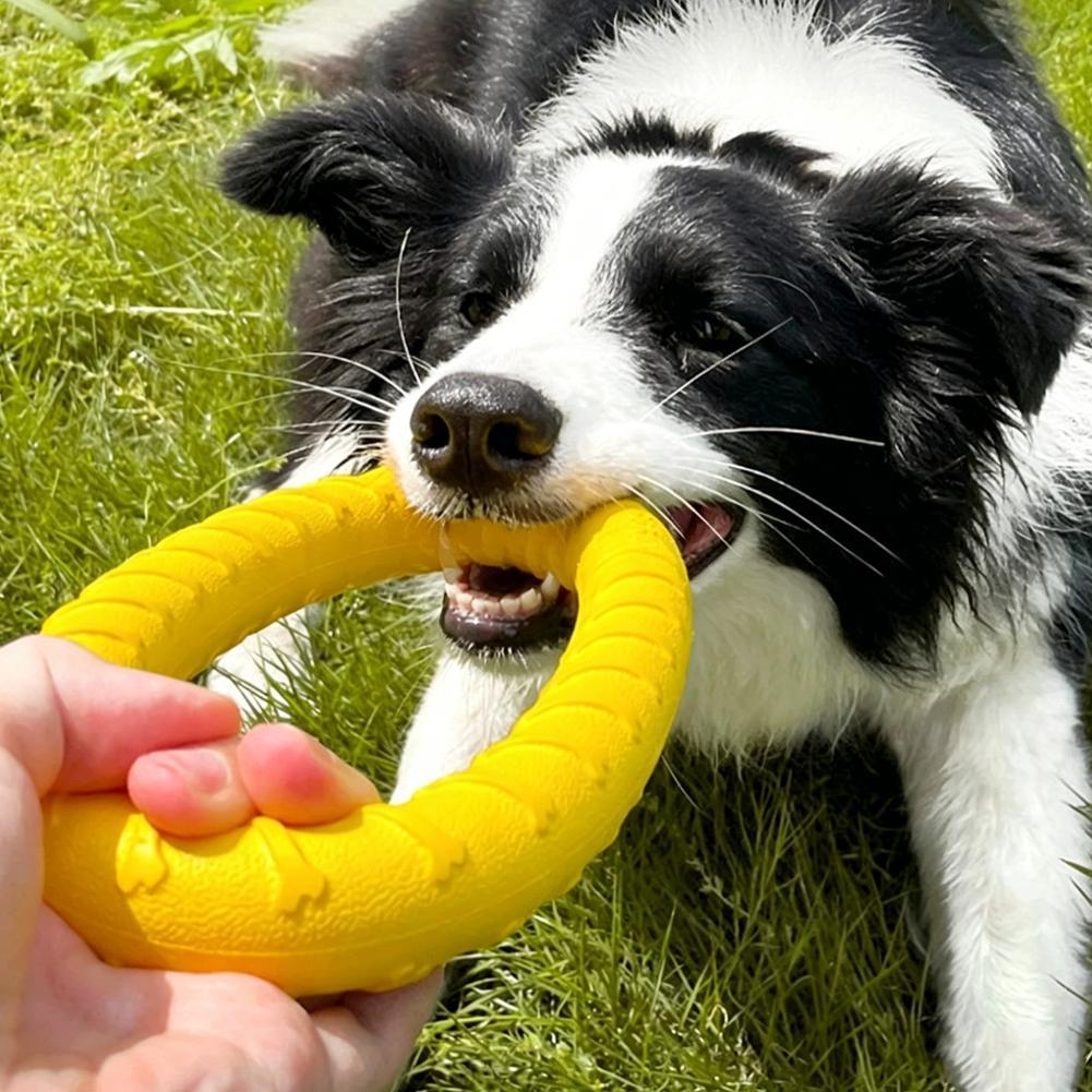 Juguetes de anillo para perros - Indestructible Dog Chew Toy reseña y precio