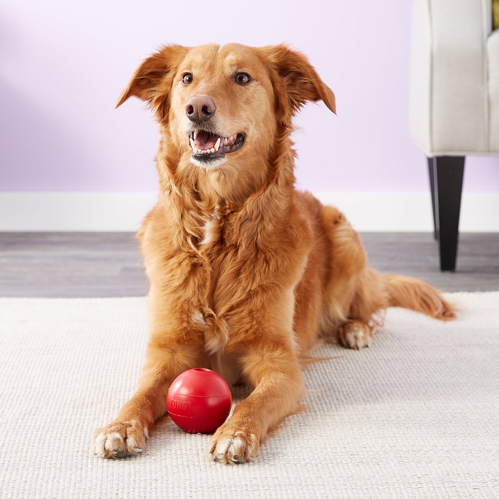 KONG Ball Dog Toy M/L - Indestructible Dog Chew Toy reseña y precio