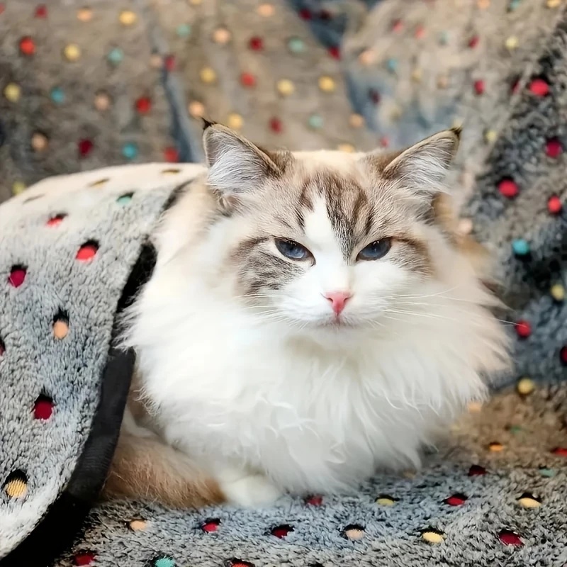 Manta suave y esponjosa para m - Pet Beds reseña y precio