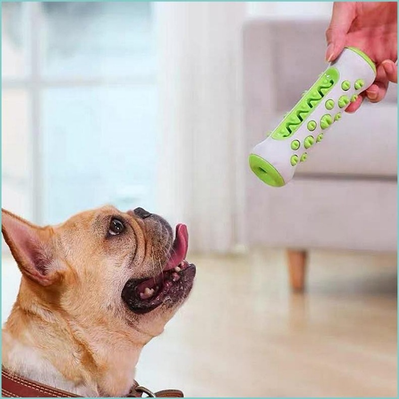 Juguete Masticable de TPR para - Teeth Cleaning Dog Chew Bone reseña y precio