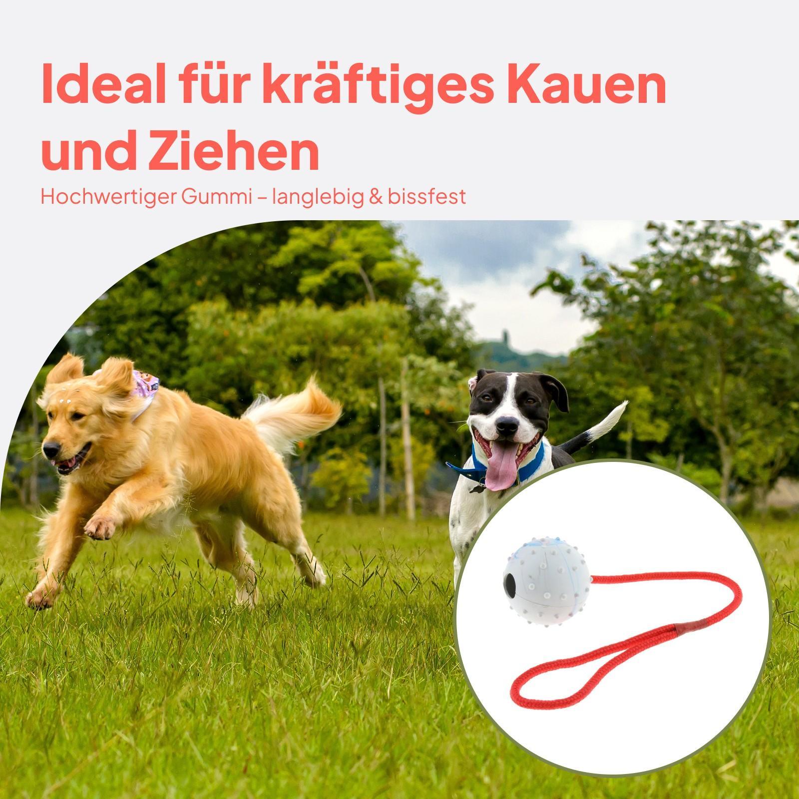 Juguete de Entrenamiento para  - Rubber Treat Dispensing Dog Toy reseña y precio